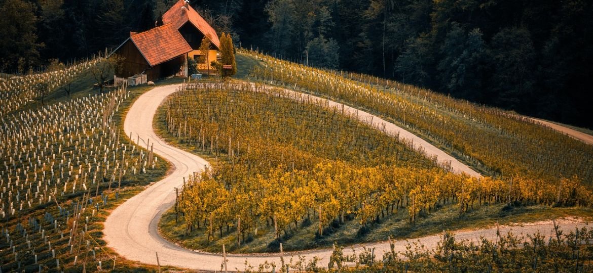 Immigration Slovenia